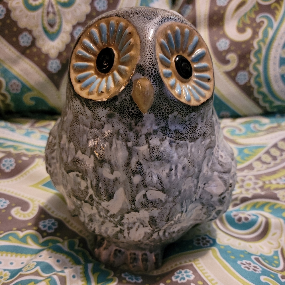 Pair of Owls ❤️❤️